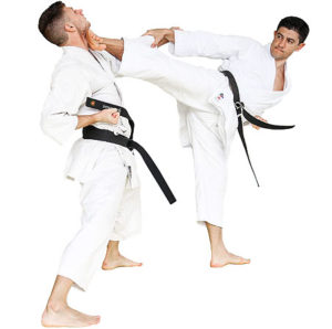 Find a martial arts school